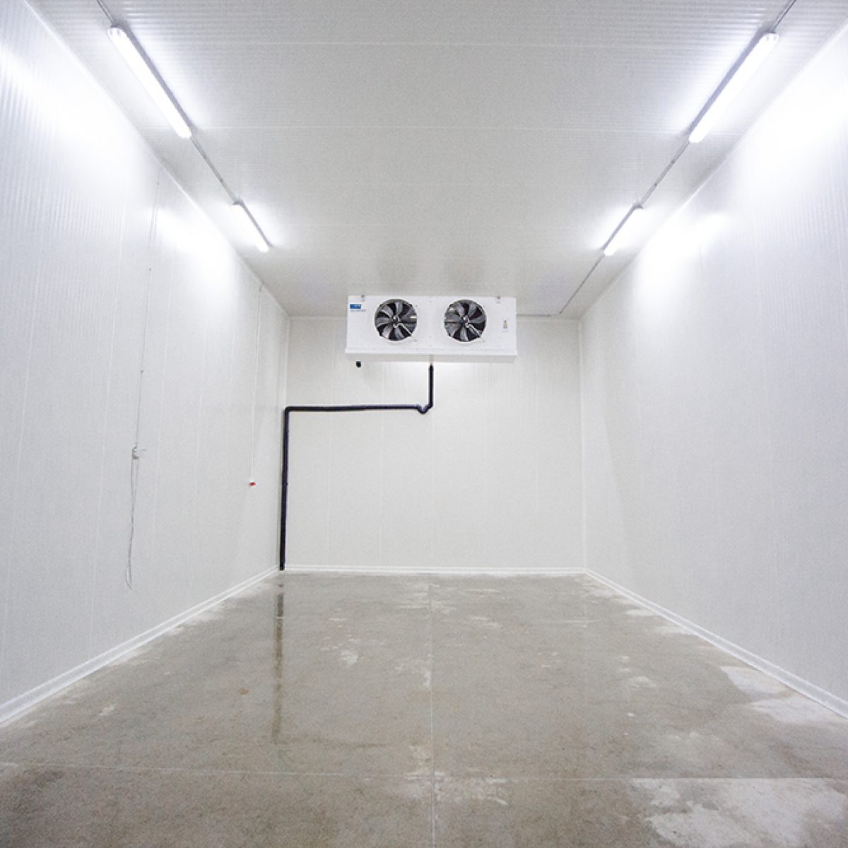 Ecogroup Warehouse
